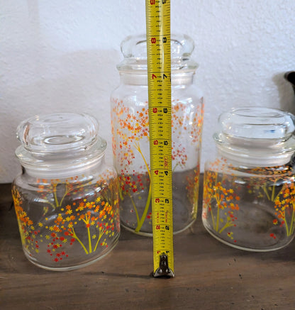 1970's Anchor Hocking Blossoms Glass Canister set
