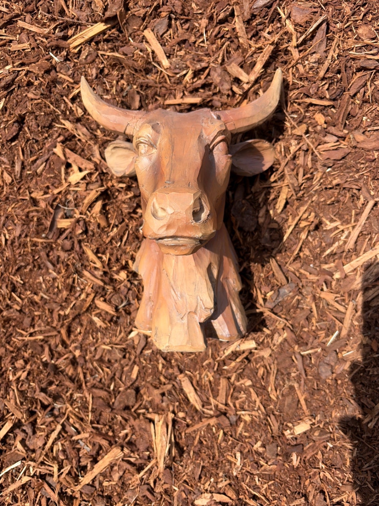 Resin Bull Head decor