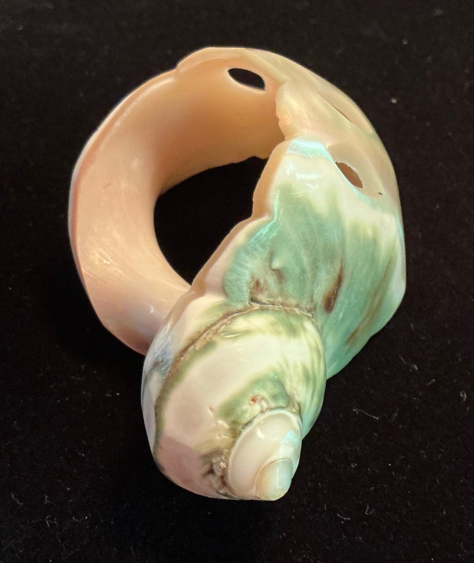 UNIQUE Mother of Pearl Napkin Ring