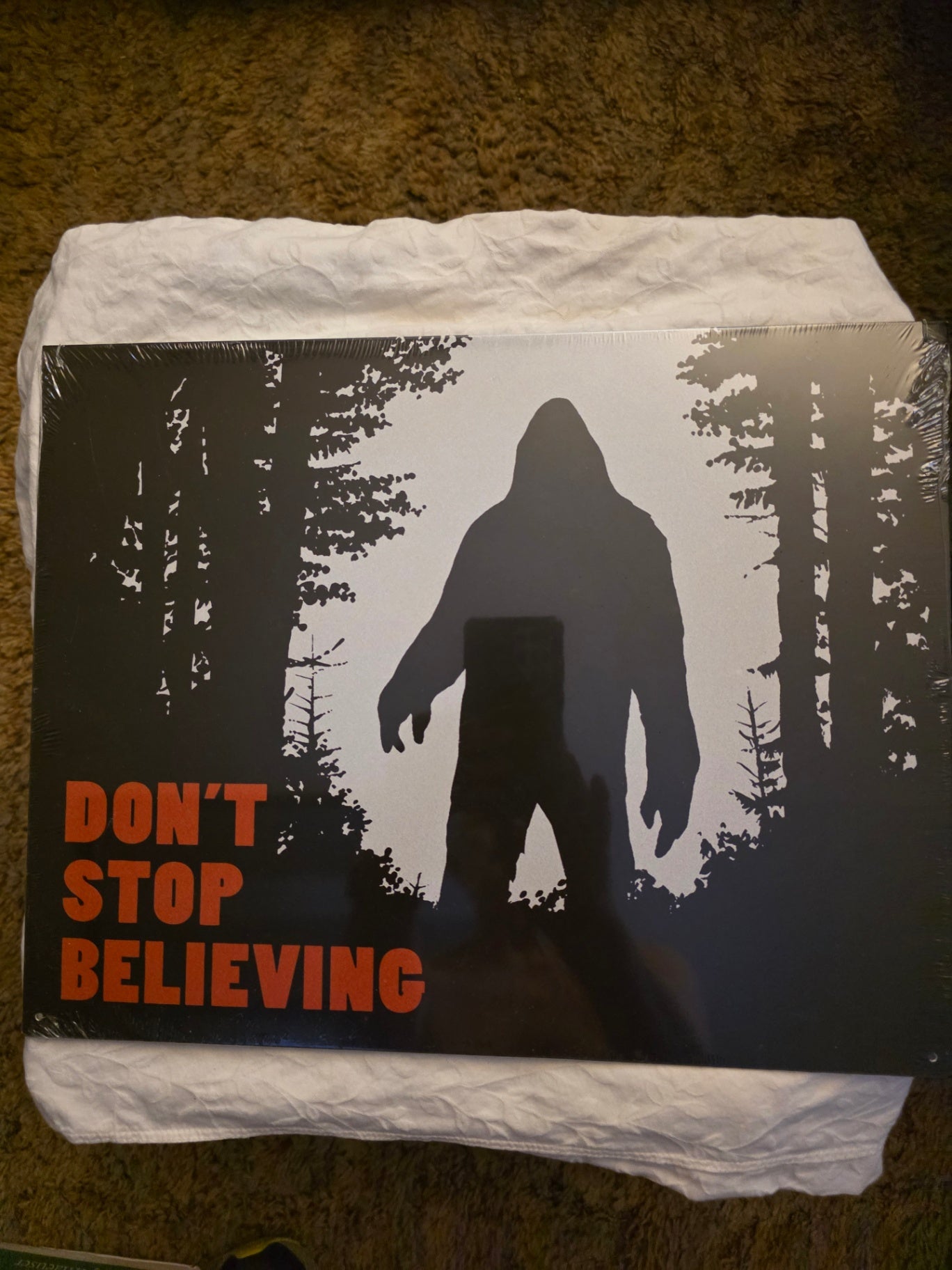 DON'T STOP BELIEVING SASQUATCH, SIGN.