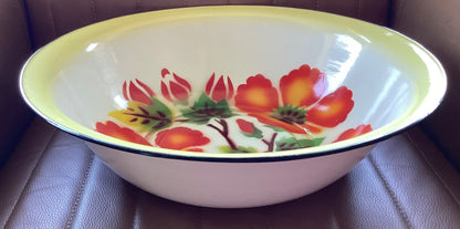 Kitchen & Dining 1950s in enamelware tub