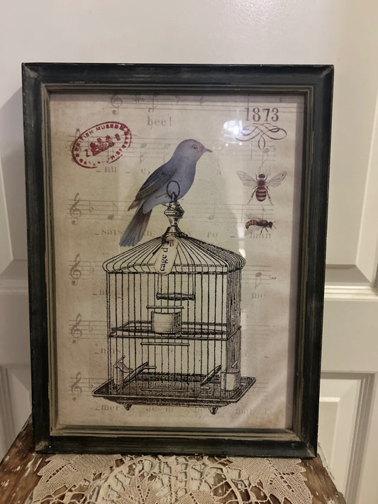 Birdcage print