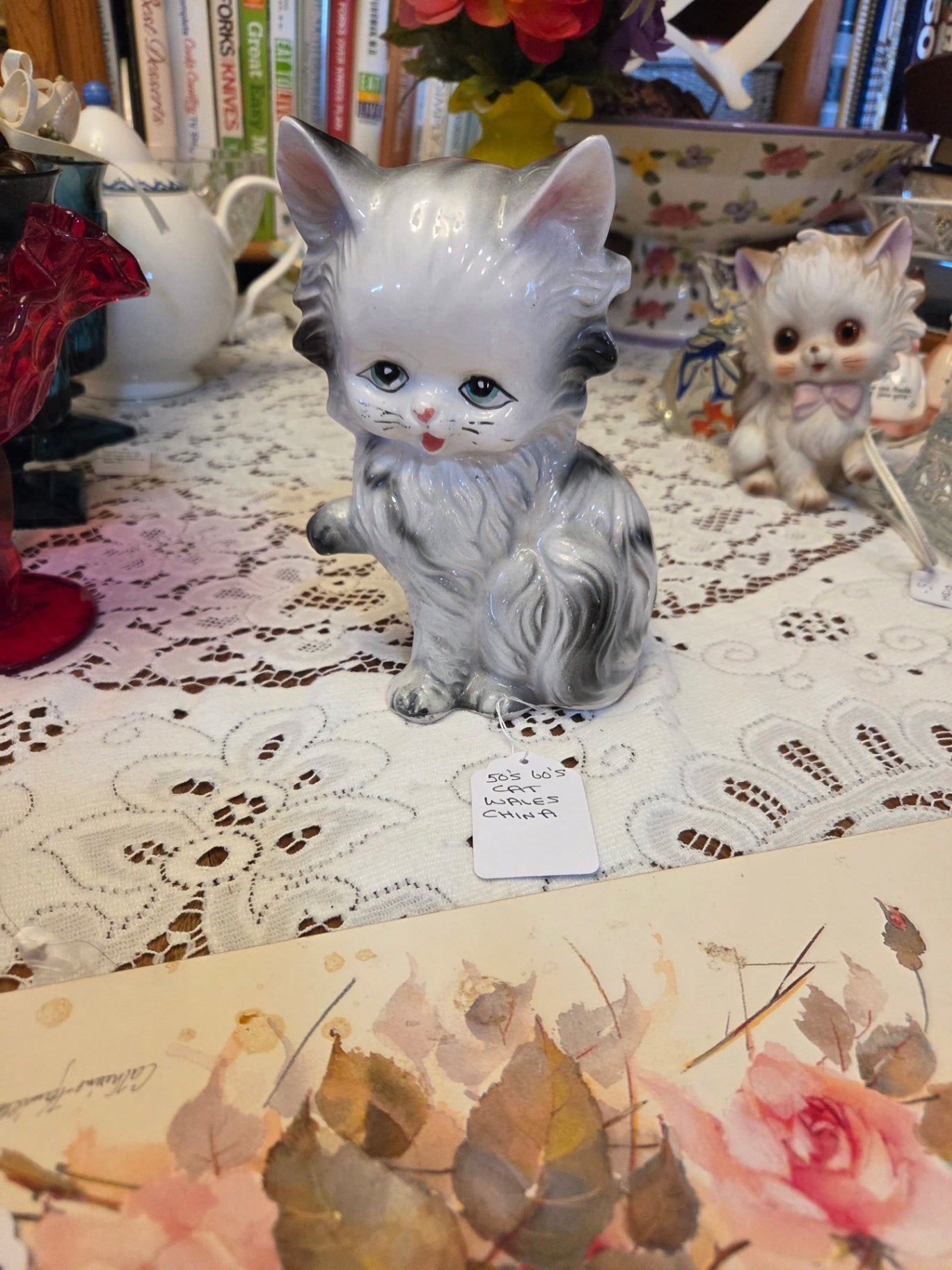 Wales kitten