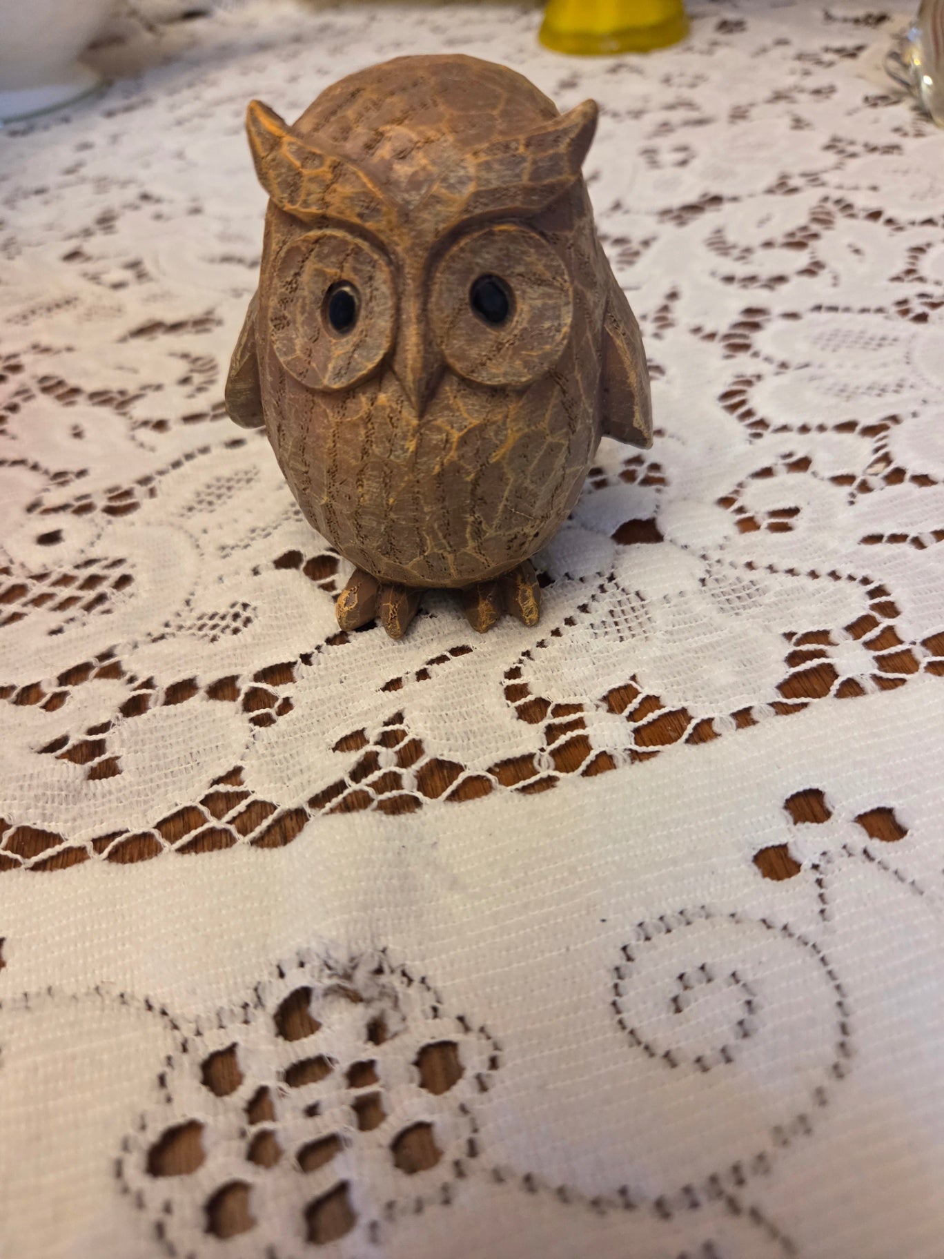 Little owl
