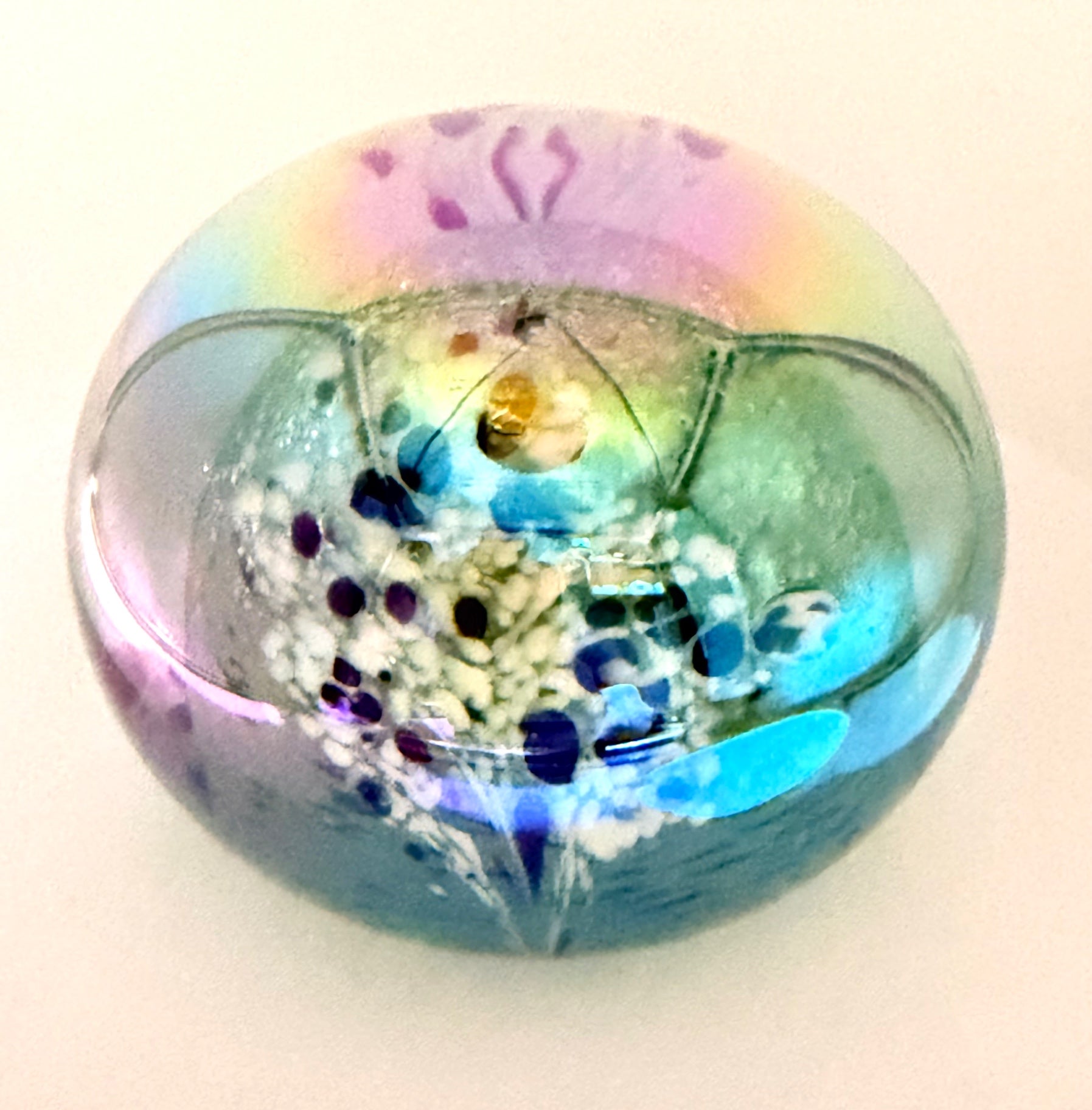 Vintage glass eye studio paperweight -1984