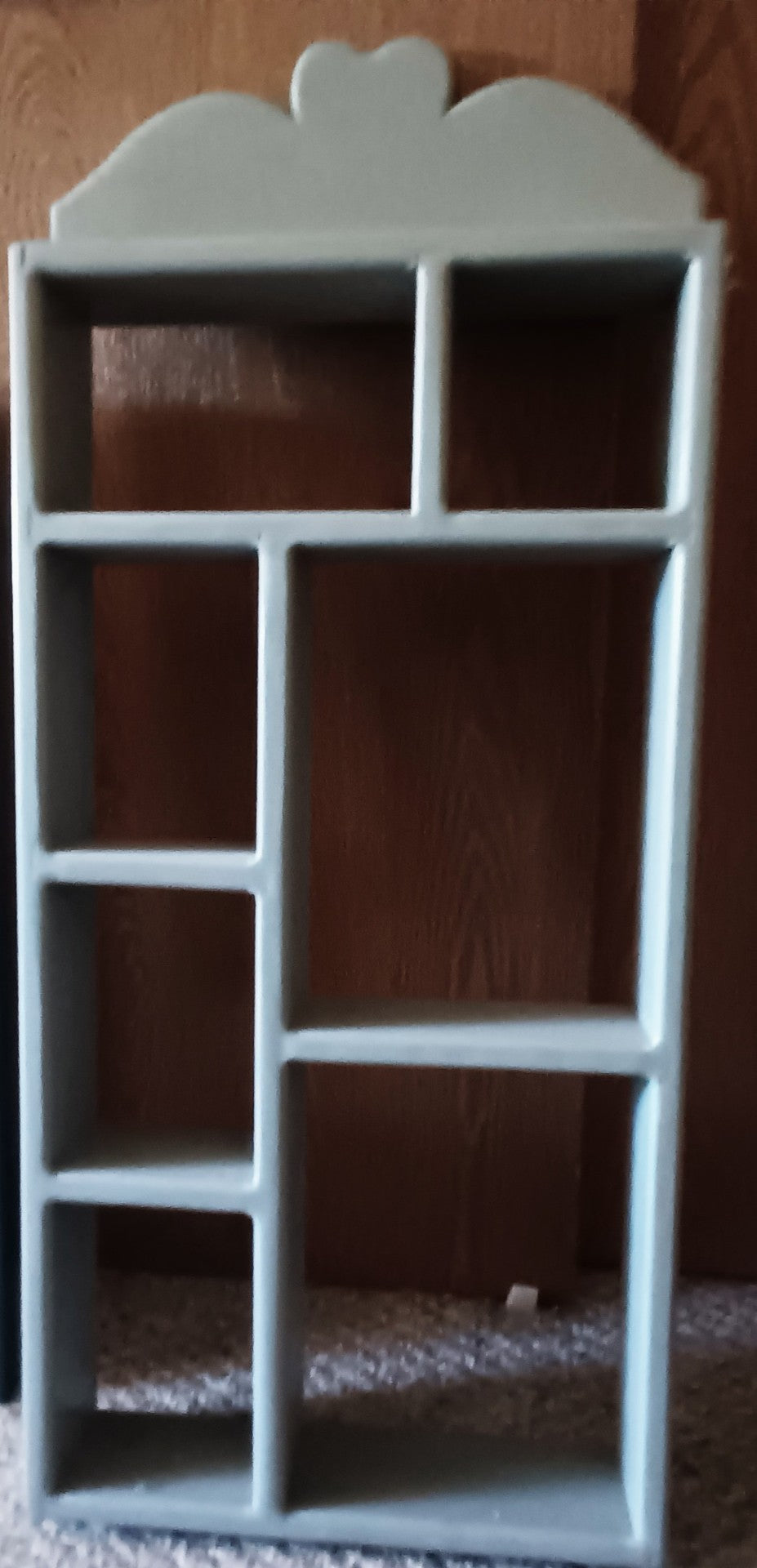 Cute Hanging Display Shelf  