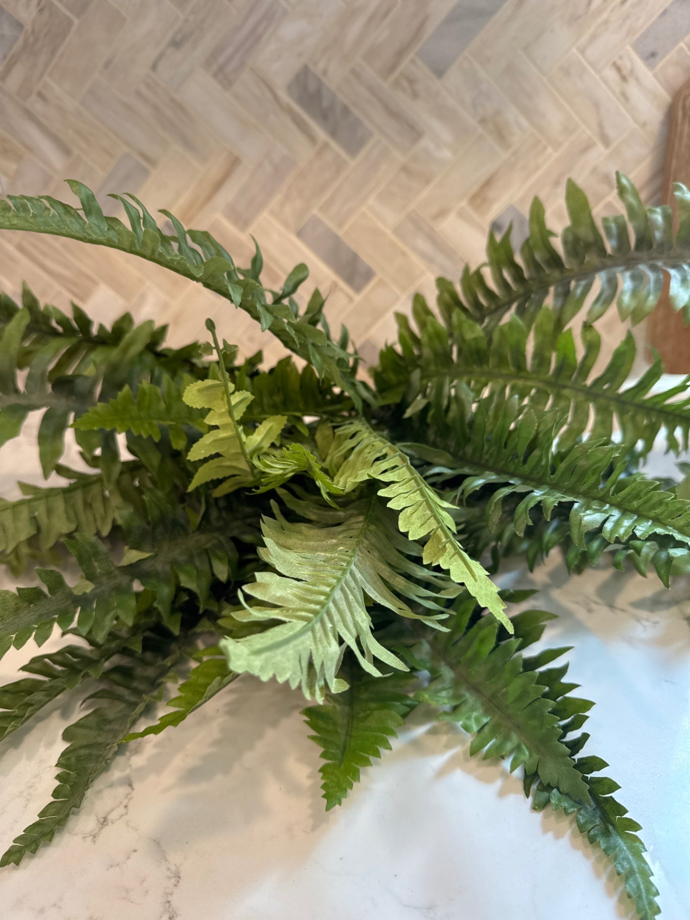 Faux Fern Bush