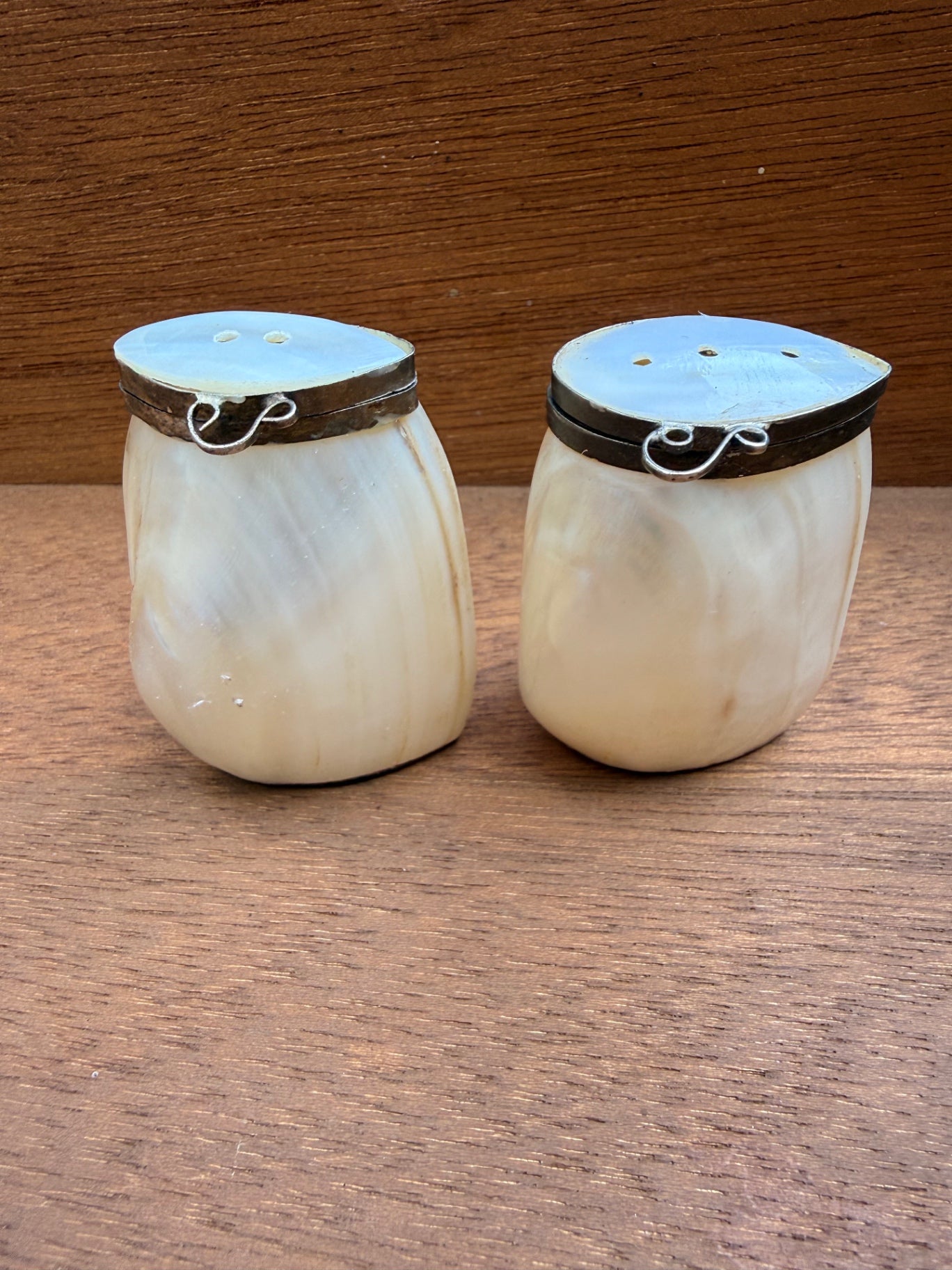Vintage Mother of Pearl Shell Salt & Pepper Shakers | Hinged Metal Lids