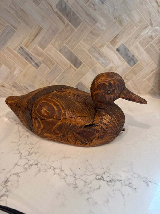 Wood Duck