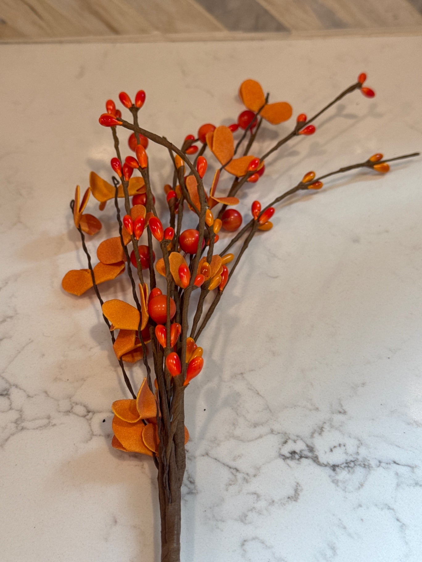 Fall Berries Stem