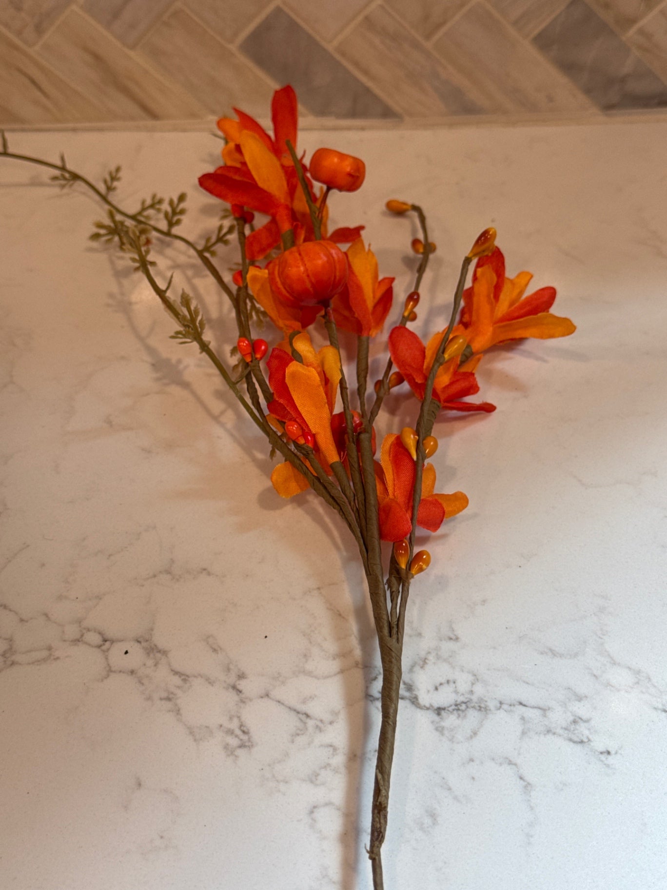 Fall Pumpkin Stem