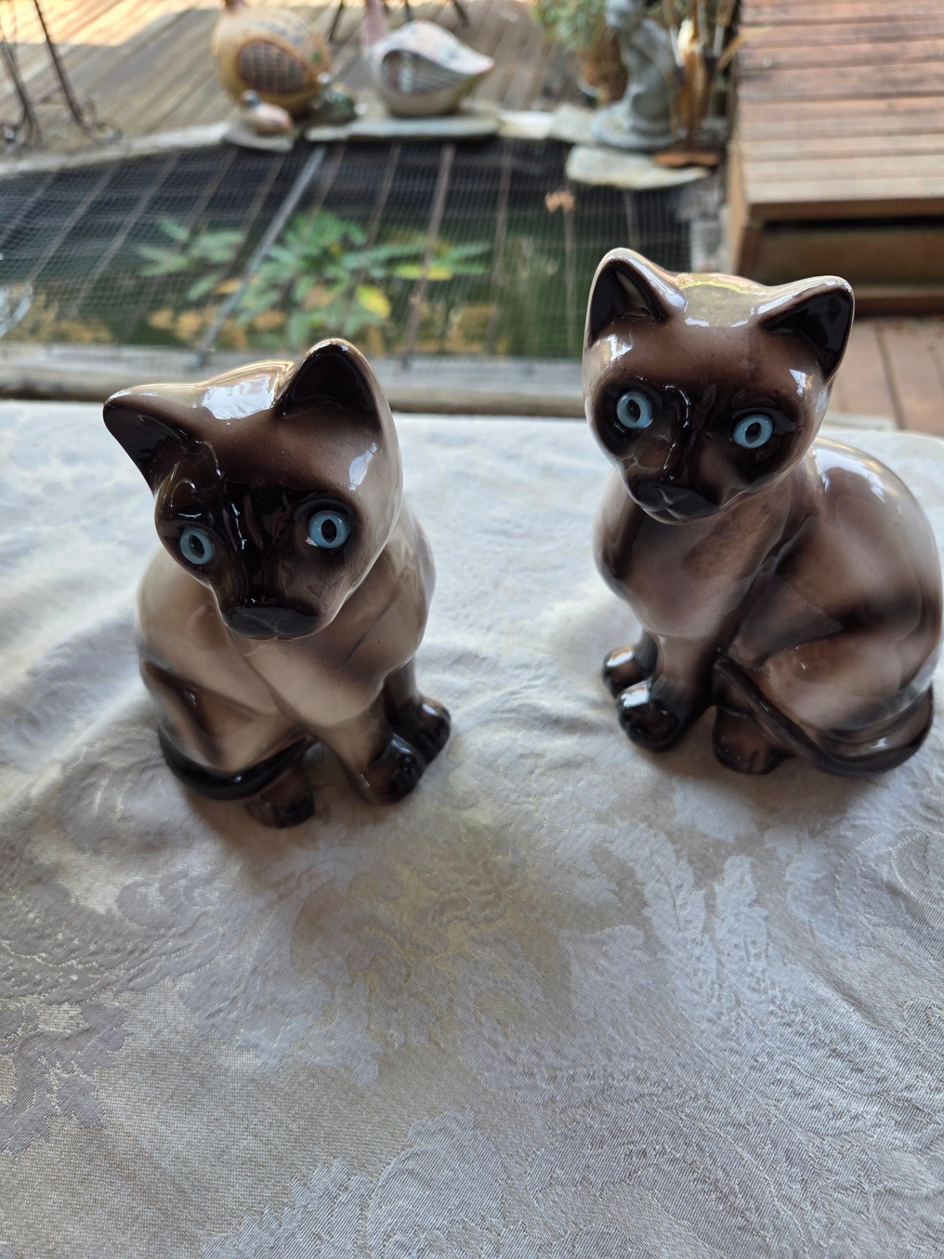 Pair MCM Siamese cats