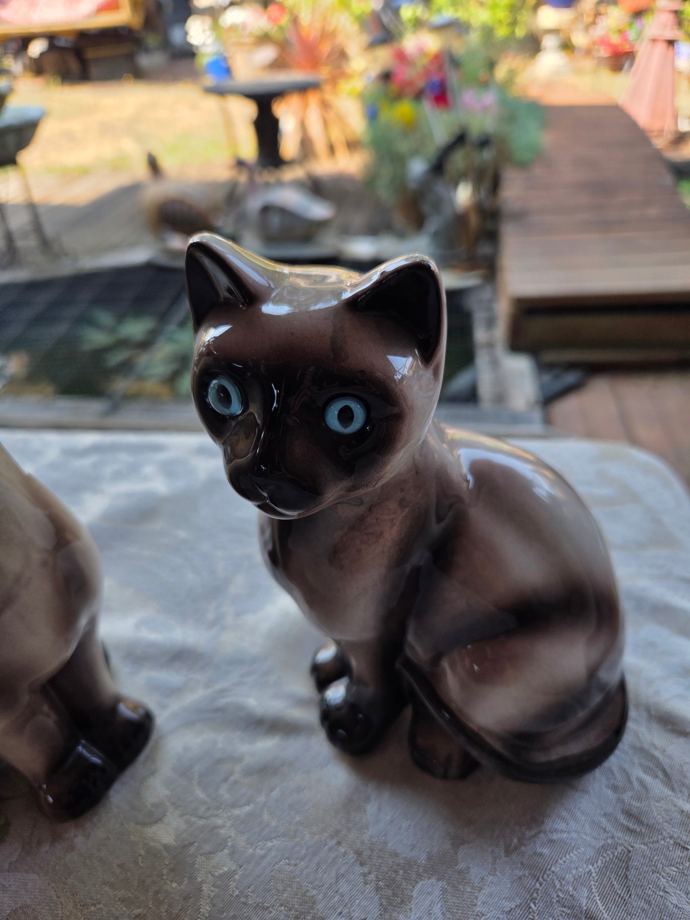 Pair MCM Siamese cats