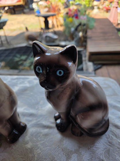 Pair MCM Siamese cats