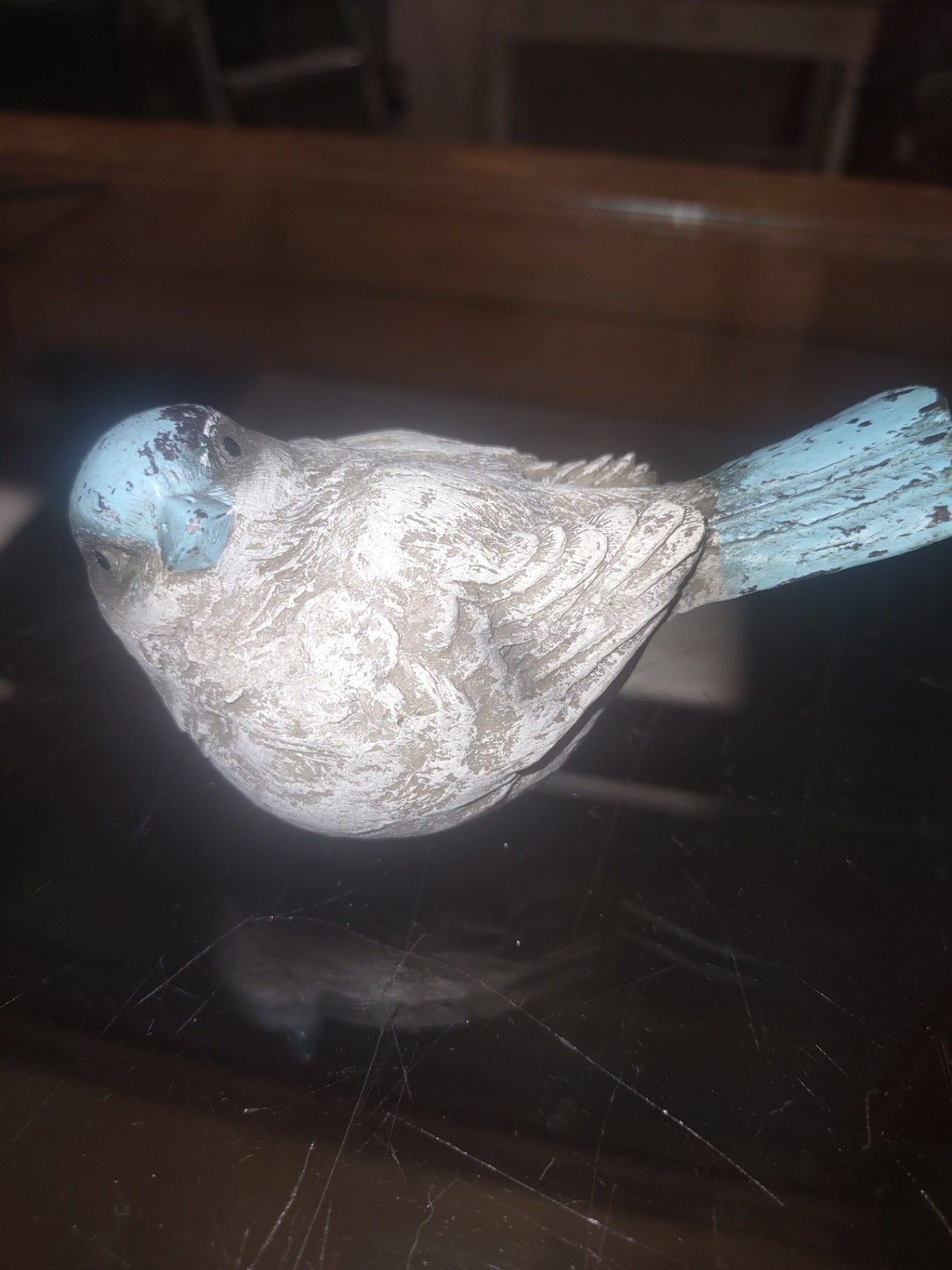 Bird white bird small