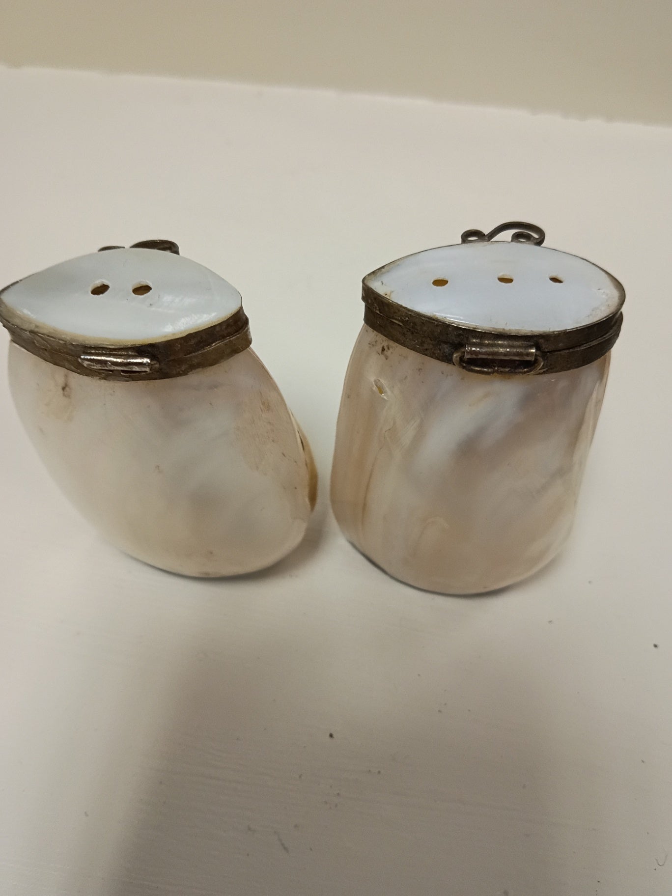 Vintage Mother of Pearl Shell Salt & Pepper Shakers | Hinged Brass Rim Natural Shells