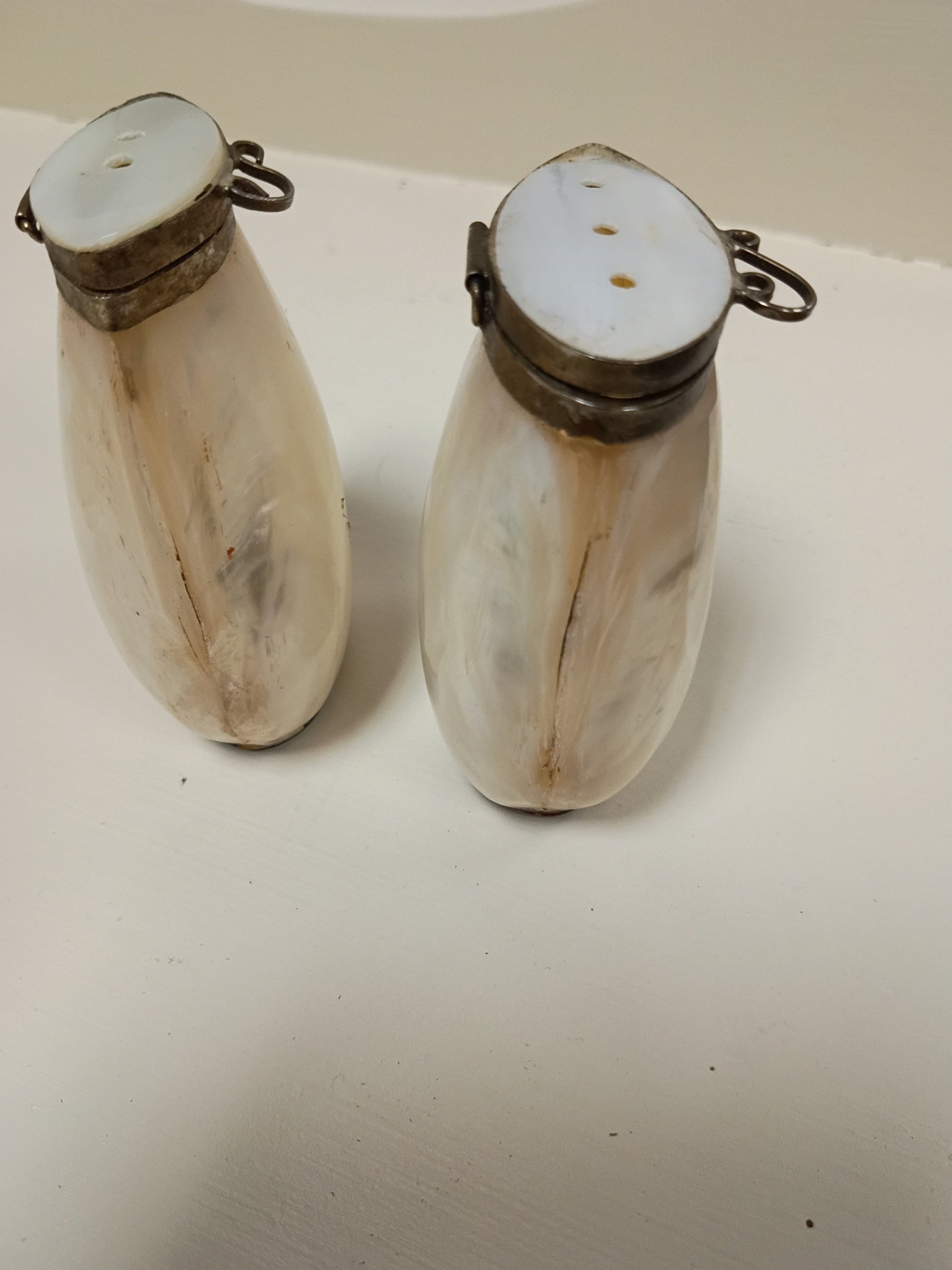 Vintage Mother of Pearl Shell Salt & Pepper Shakers | Hinged Brass Rim Natural Shells