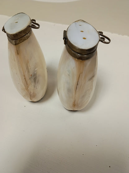 Vintage Mother of Pearl Shell Salt & Pepper Shakers | Hinged Brass Rim Natural Shells