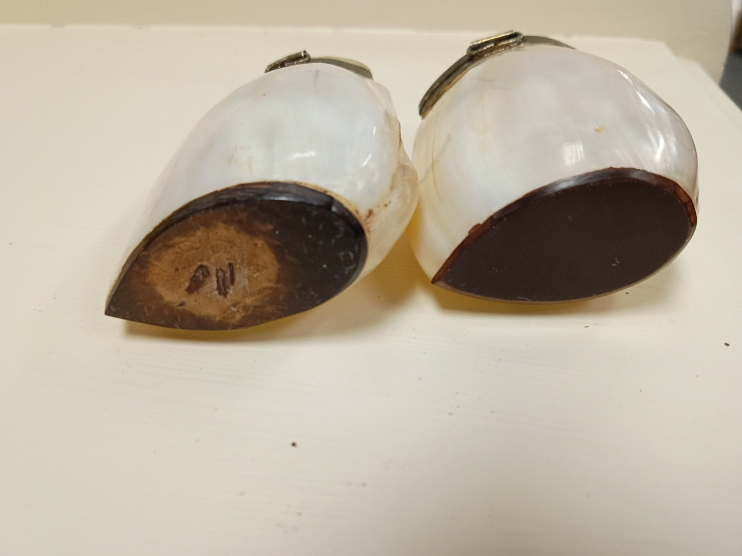 Vintage Mother of Pearl Shell Salt & Pepper Shakers | Hinged Brass Rim Natural Shells