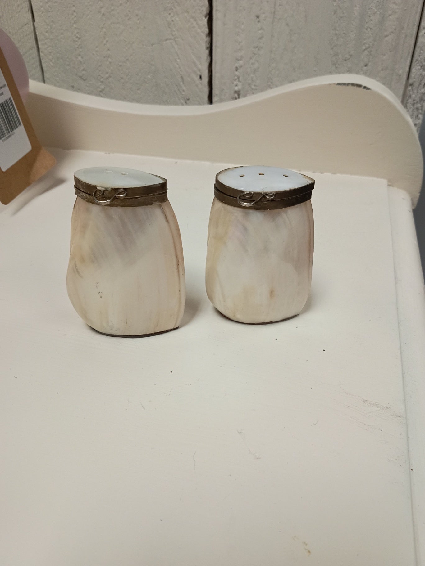 Vintage Mother of Pearl Shell Salt & Pepper Shakers | Hinged Brass Rim Natural Shells