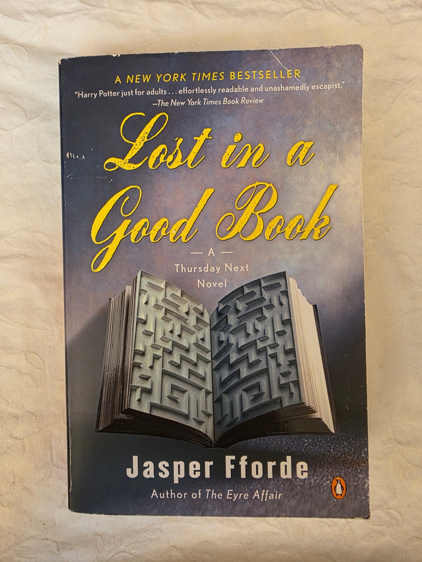 LOST IN A GOOD BOOK.