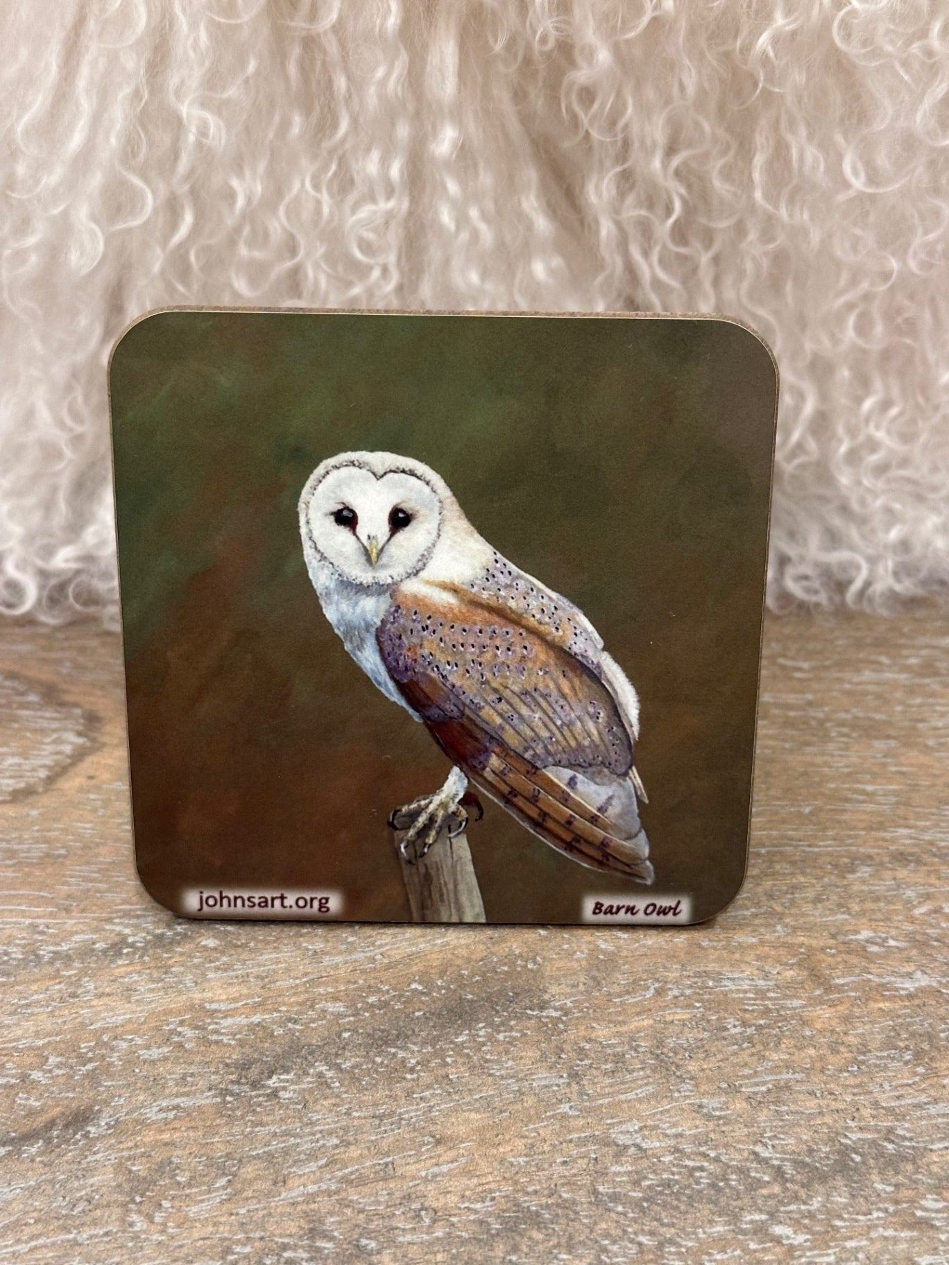 Barn owl coaster