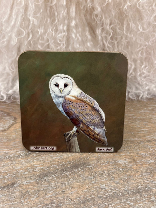 Barn owl coaster