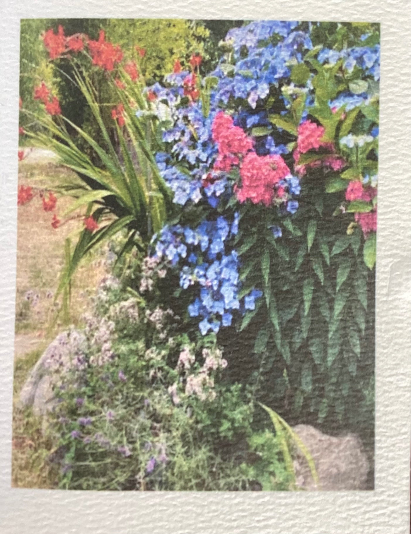 Hand made card with Butterfly’s inside