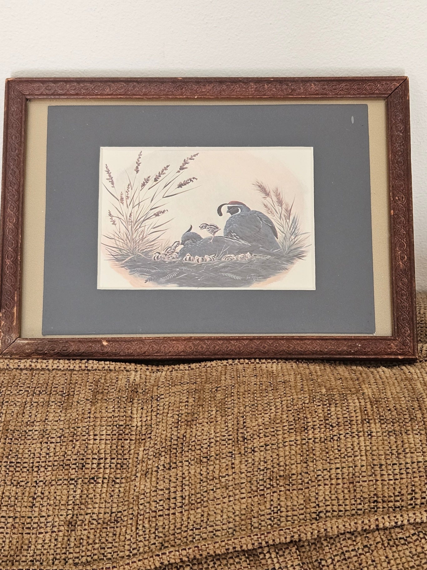 Small vintage rustic pic frame w/ bird illus