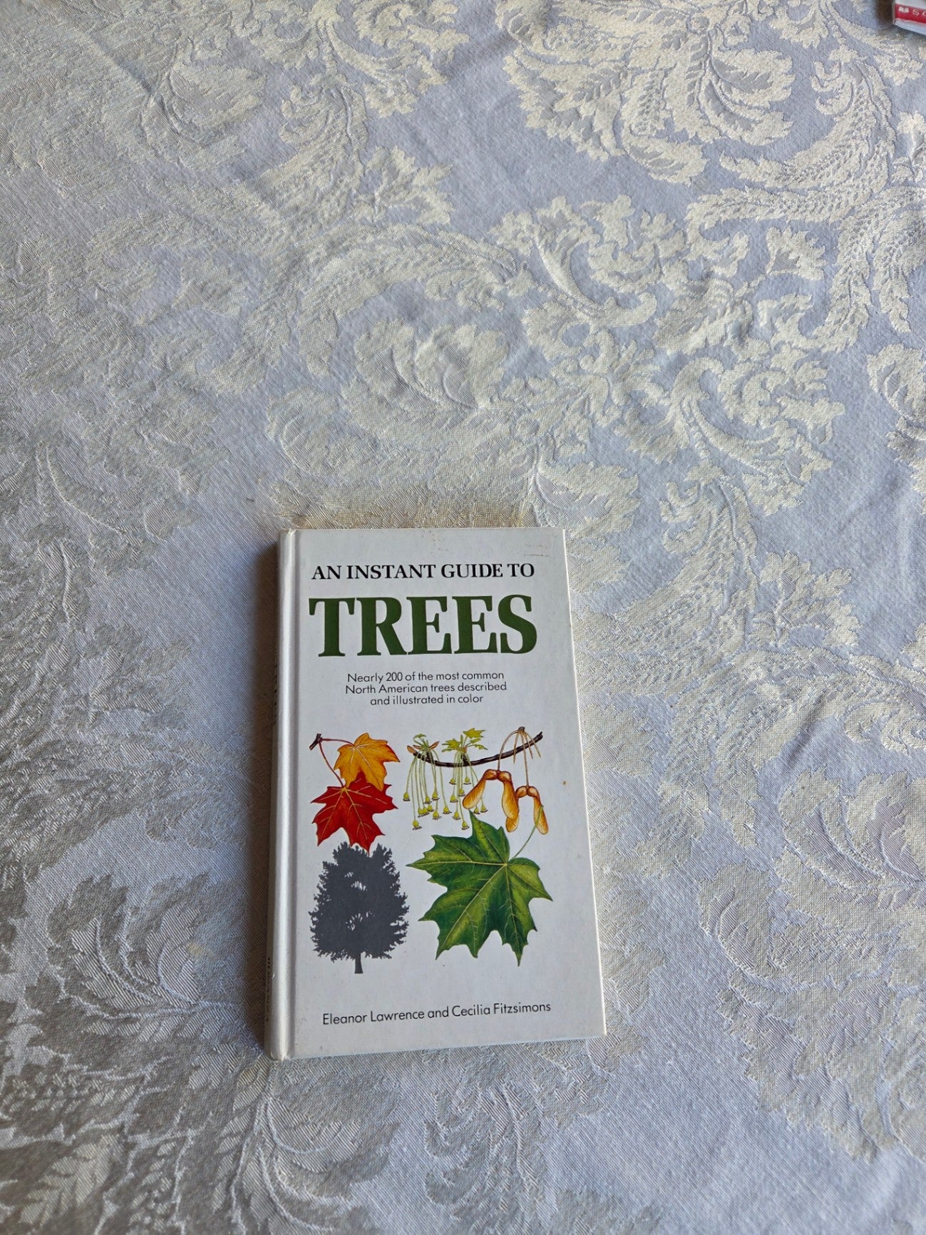 Trees