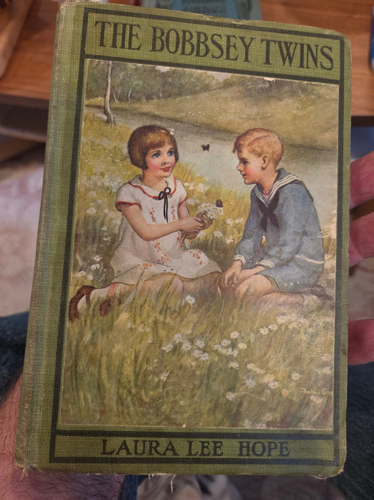 Bobbsey Twins