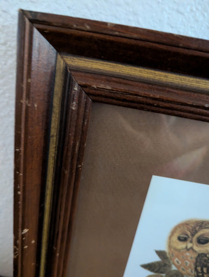 Vtg. Framed 3-owls Print
