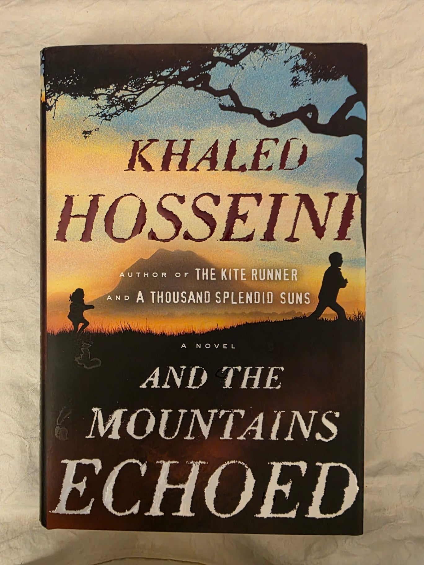 AND THE MOUNTAINS ECHOED