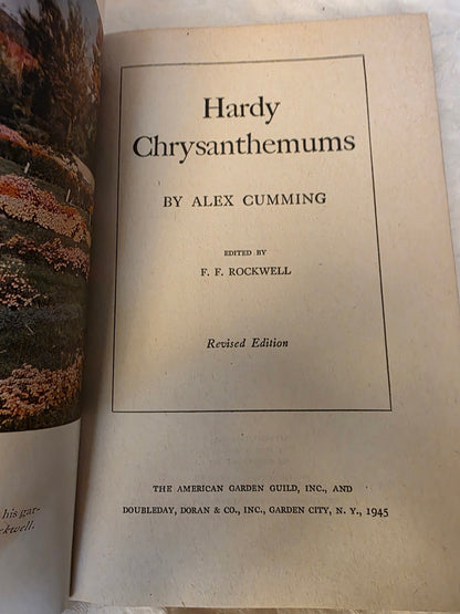 RARE CHYRSANTHEMUMS.