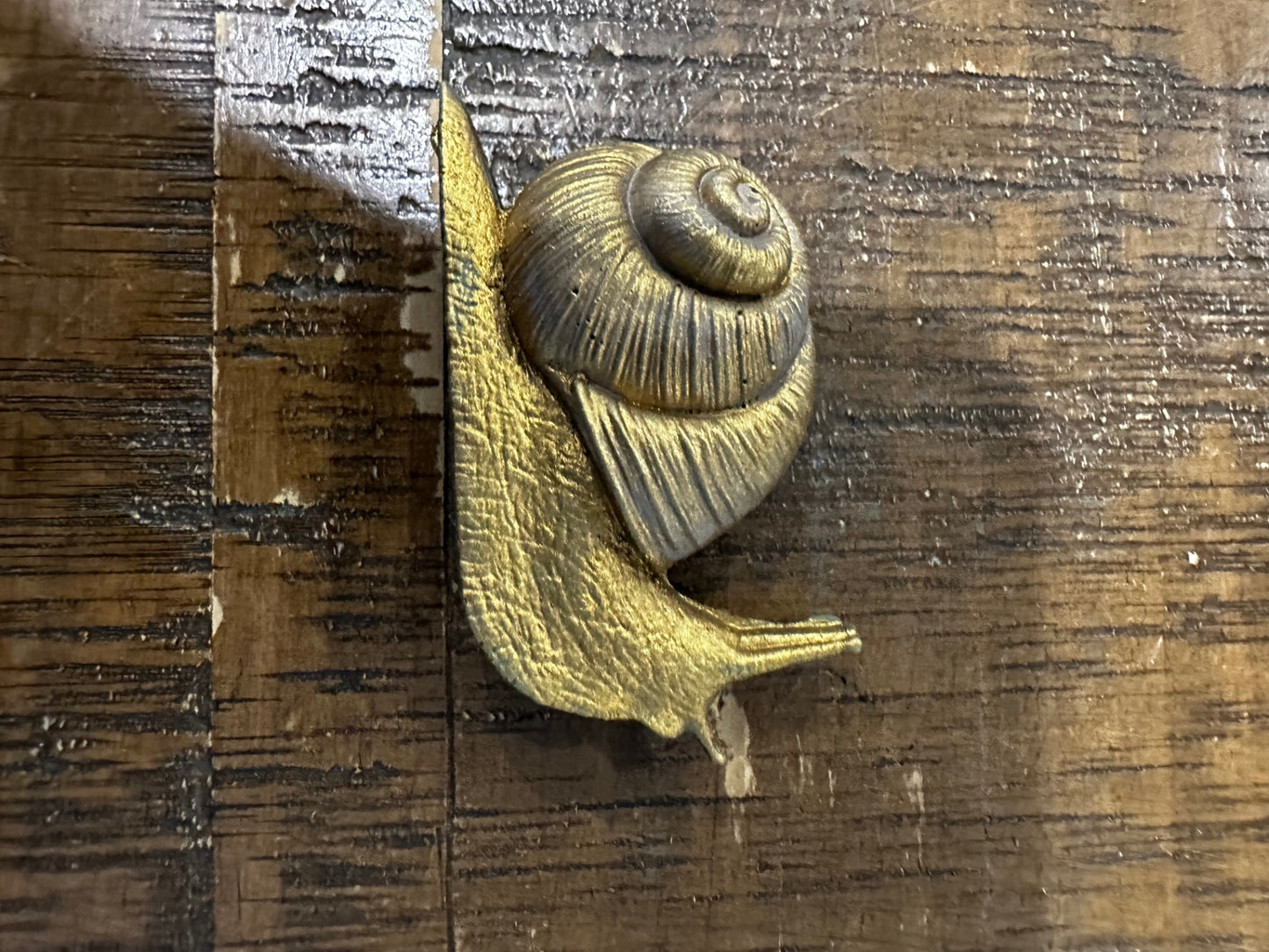 Med snail mag