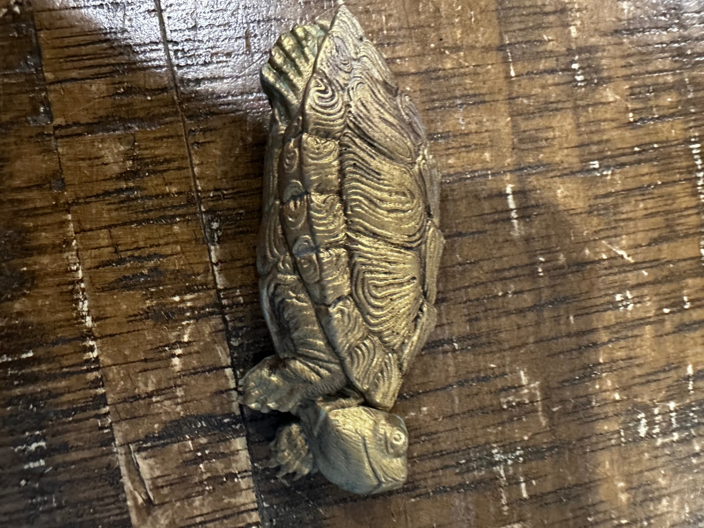 Gold turtle mag