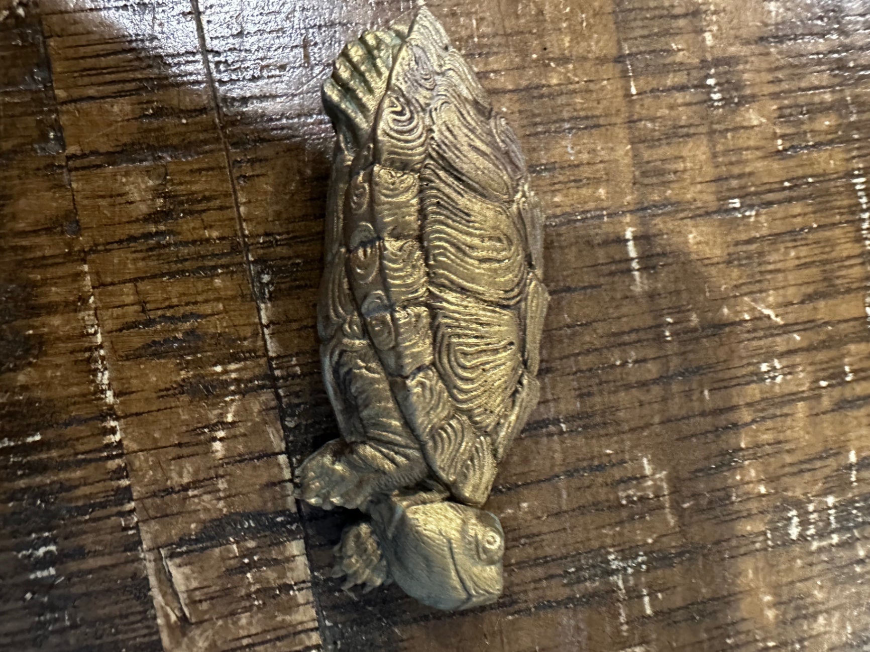 Gold turtle mag