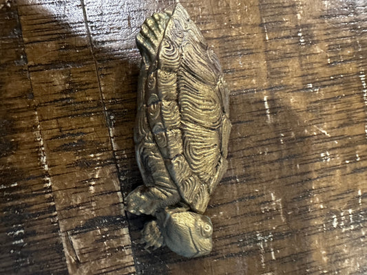 Gold turtle mag