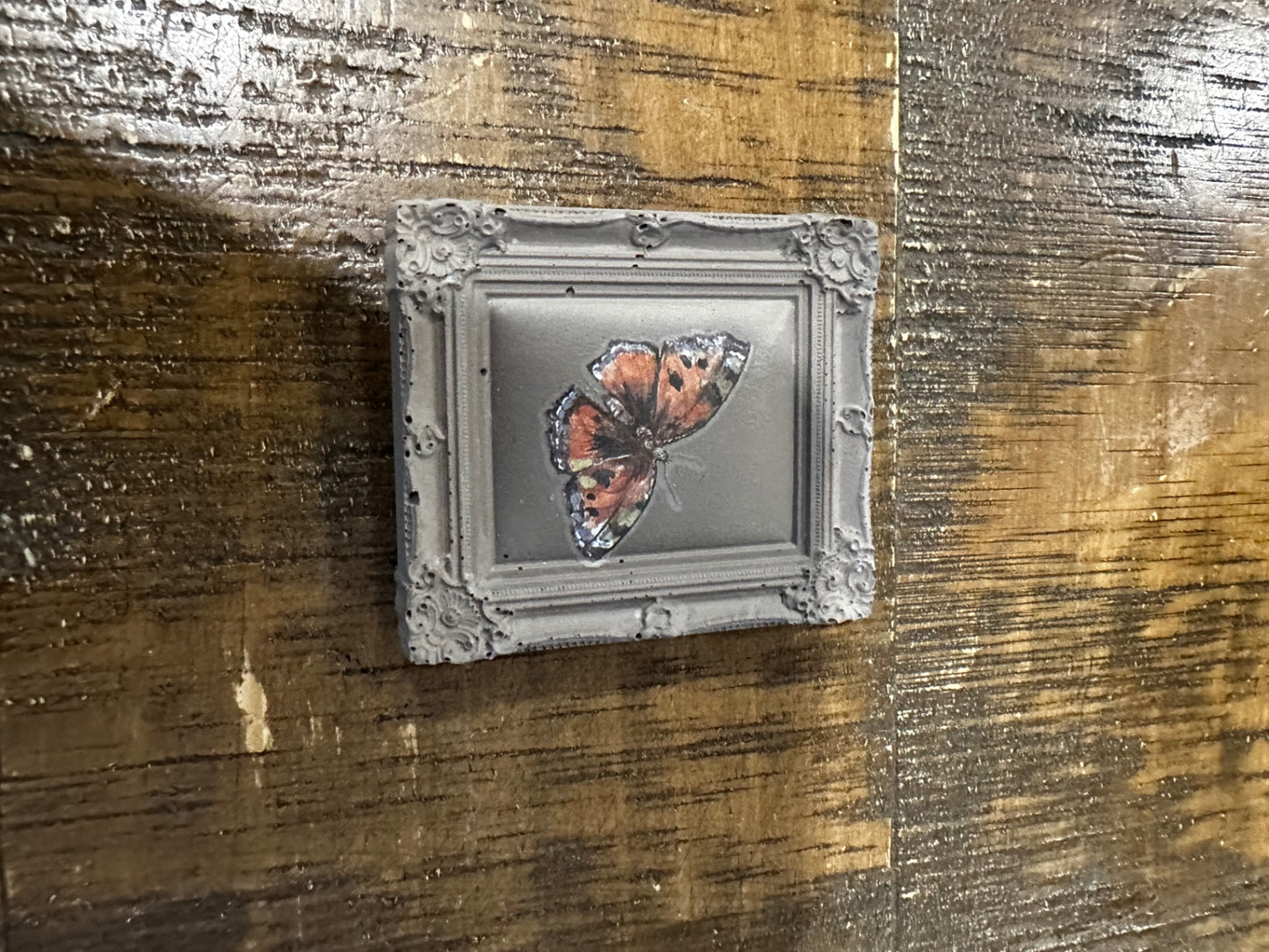 Small square meg with butterfly