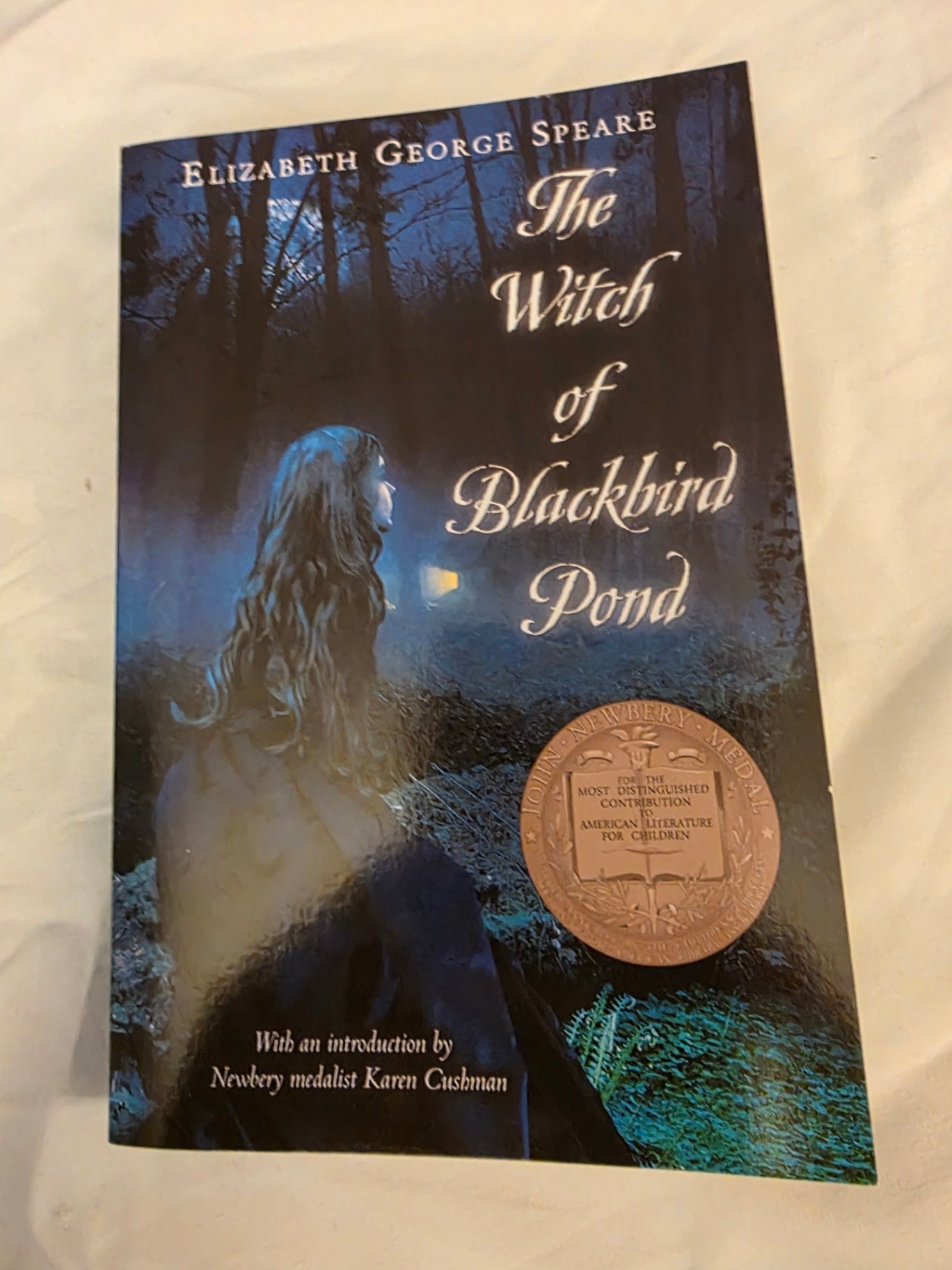THE WITCH OF BLACKBIRD POND.