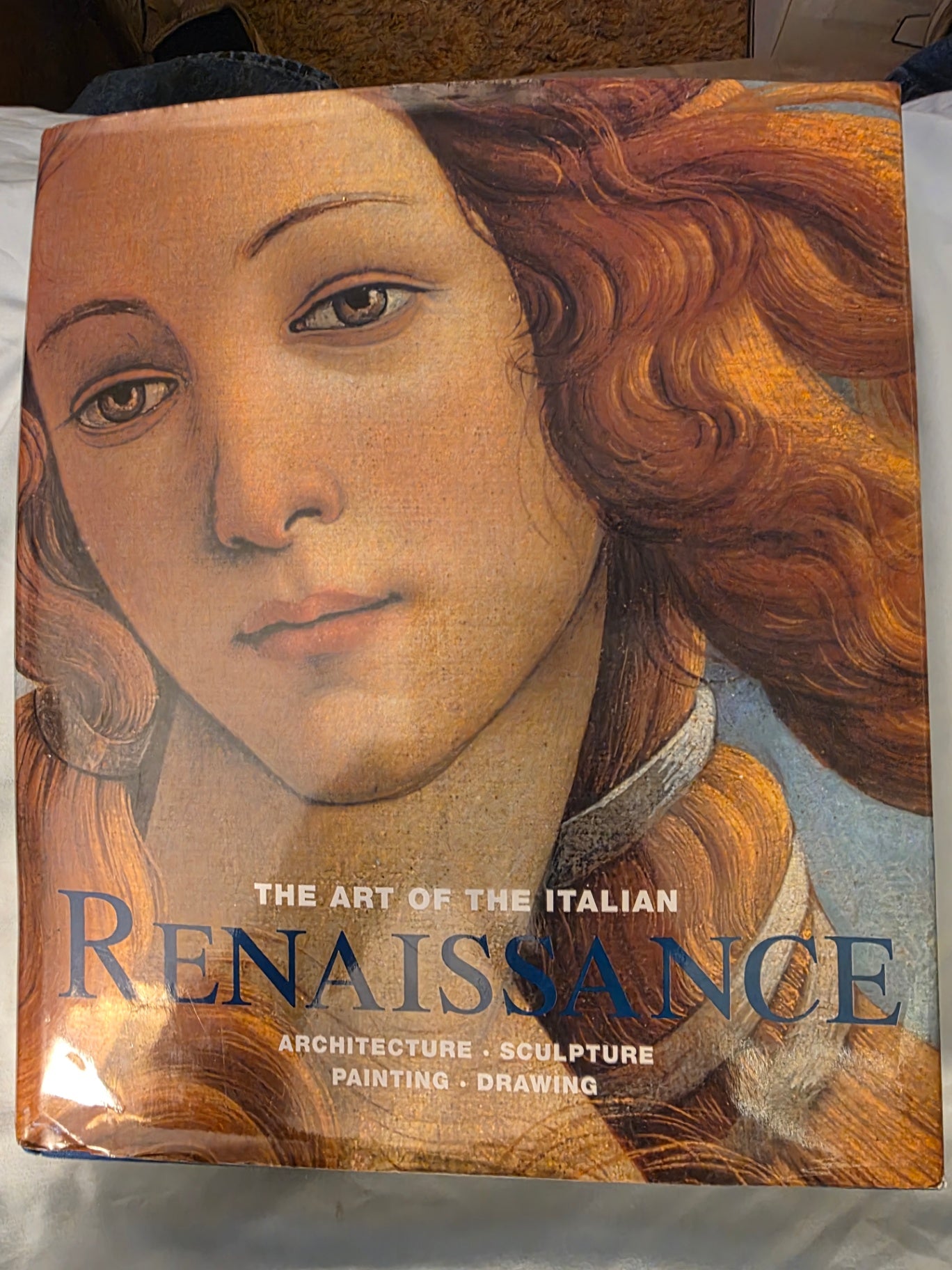 THE ART OF THE ITALIAN RENAISSANCE.
