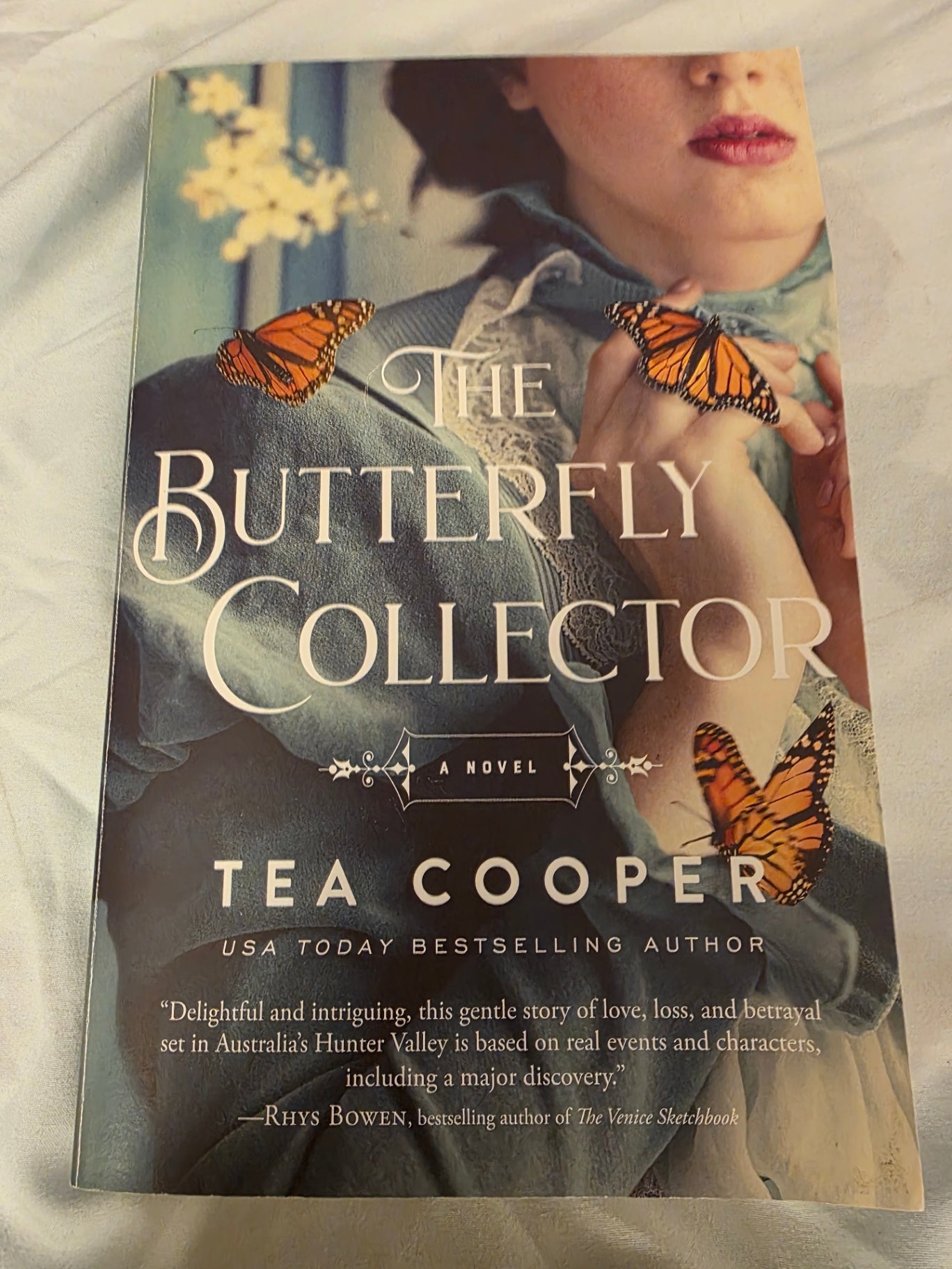THE BUTTERFLY COLLECTOR.