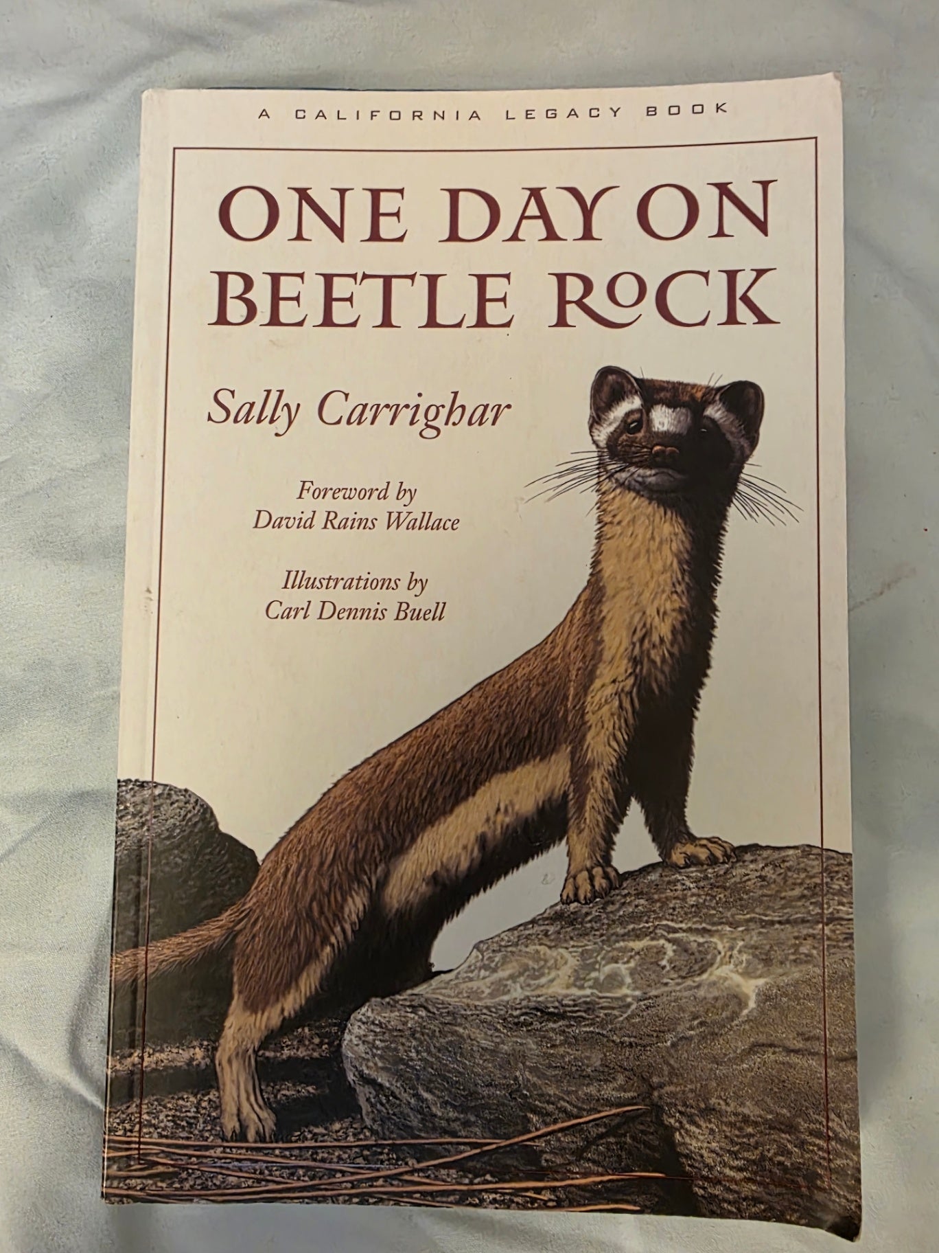 1 DAY ON BEETLE ROCK.