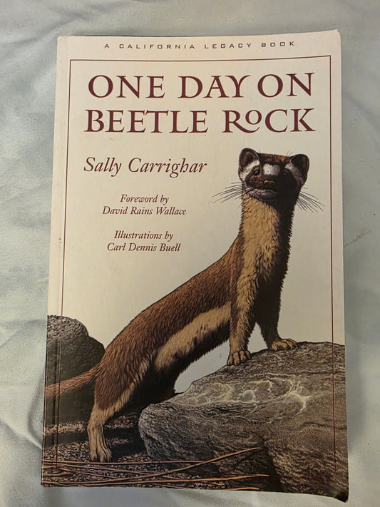 1 DAY ON BEETLE ROCK.