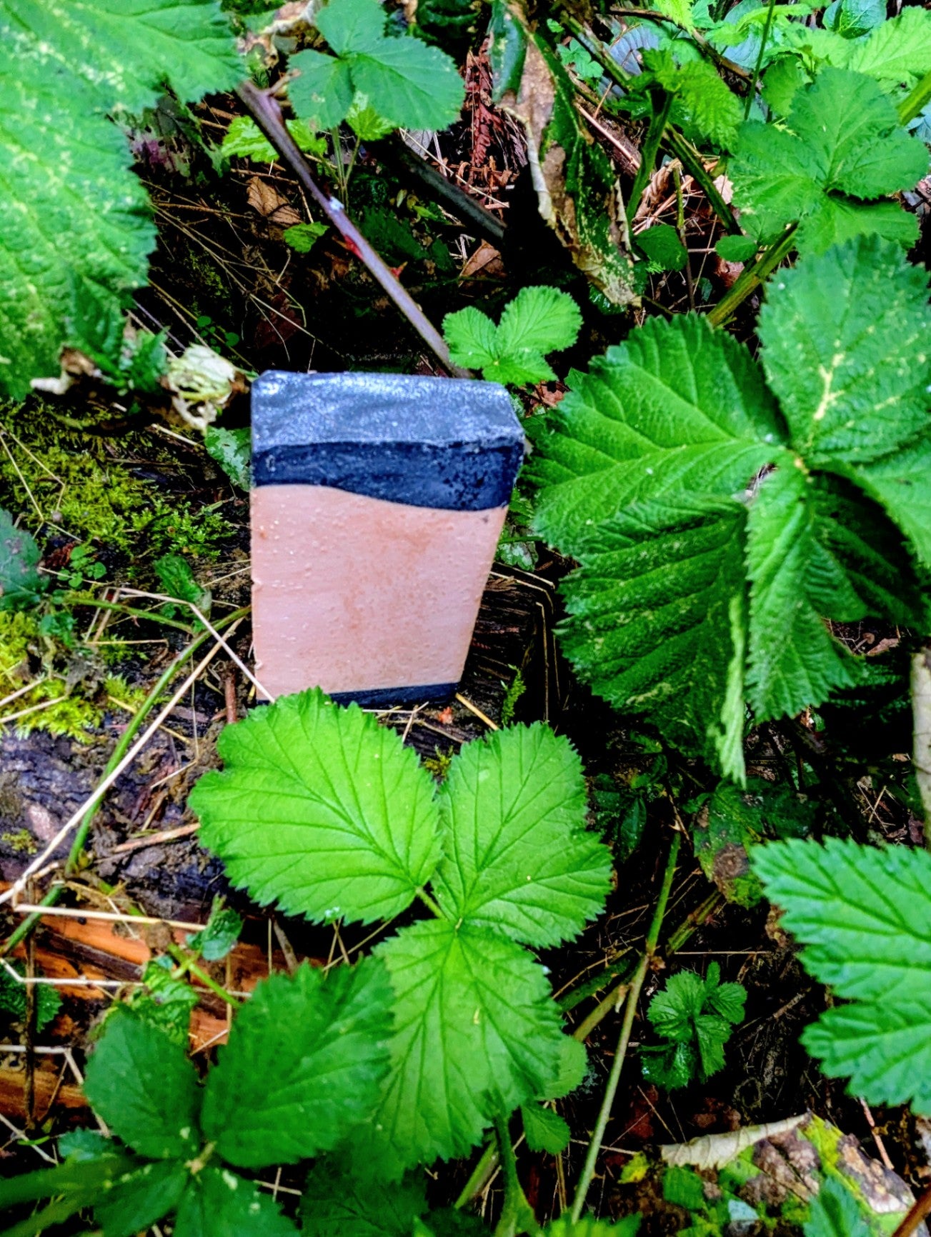 Creamy Coconut Lard Bar Soap