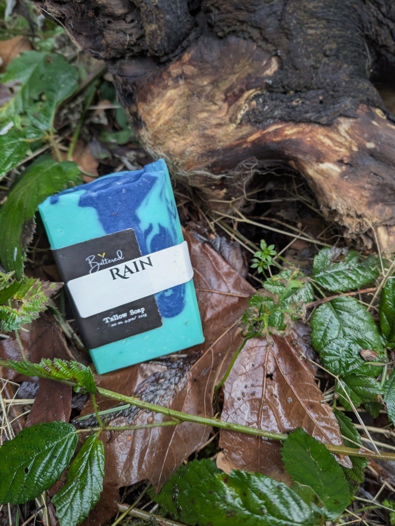 Tallow Bar Soap Rain