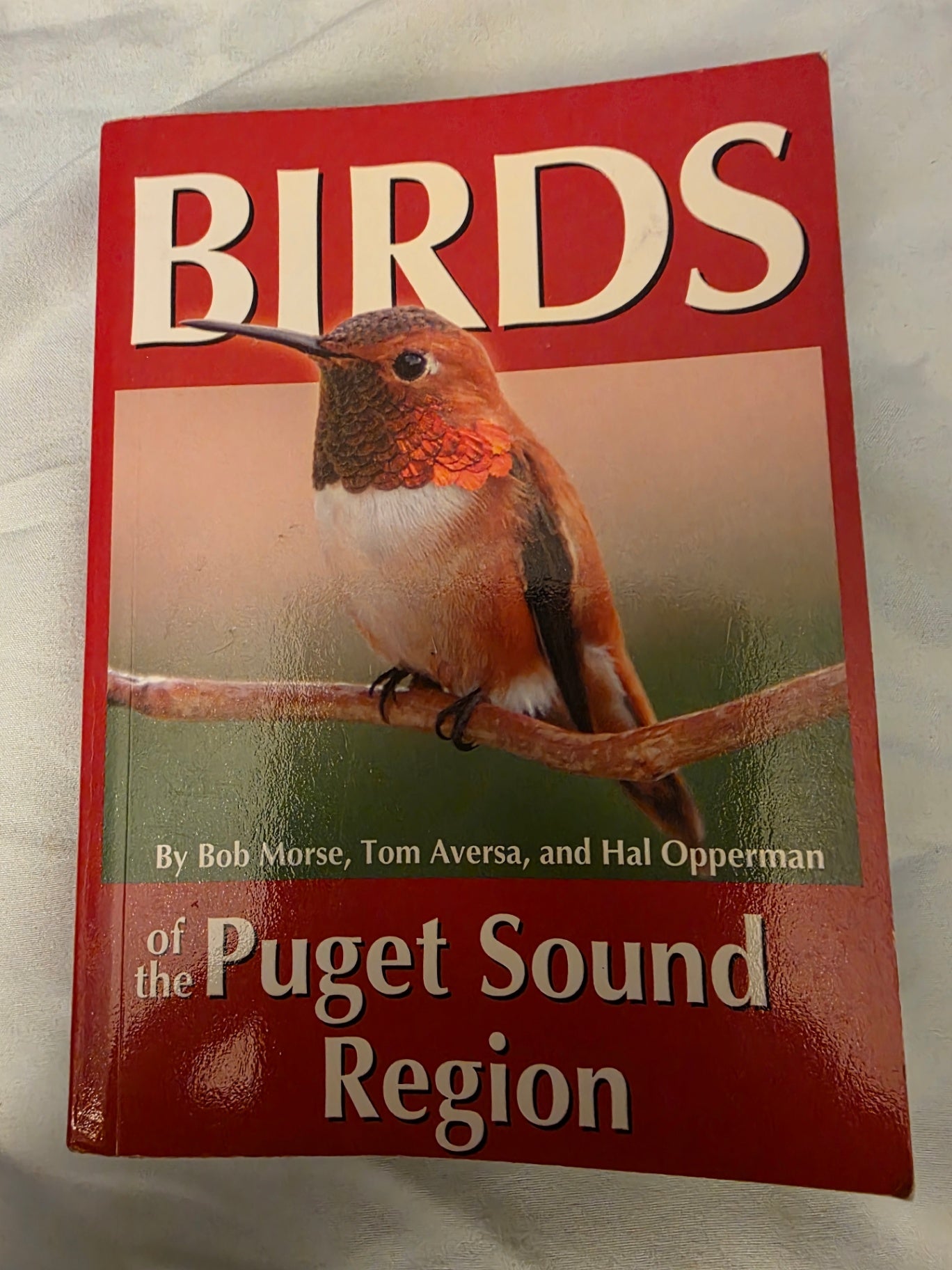 BIRDS OF THE PUGET SOUND REGION.