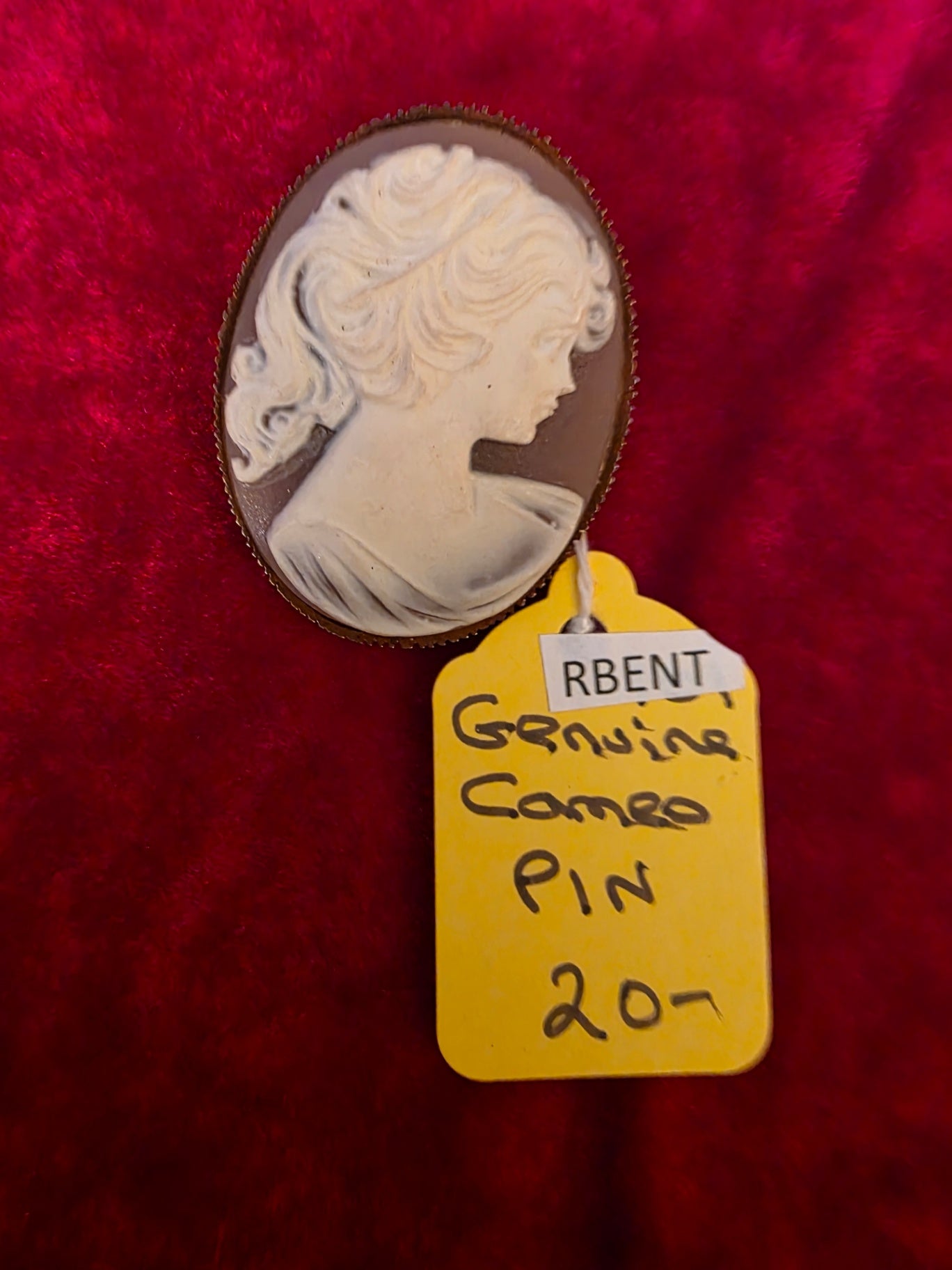 GENUINE CAMEO PIN.