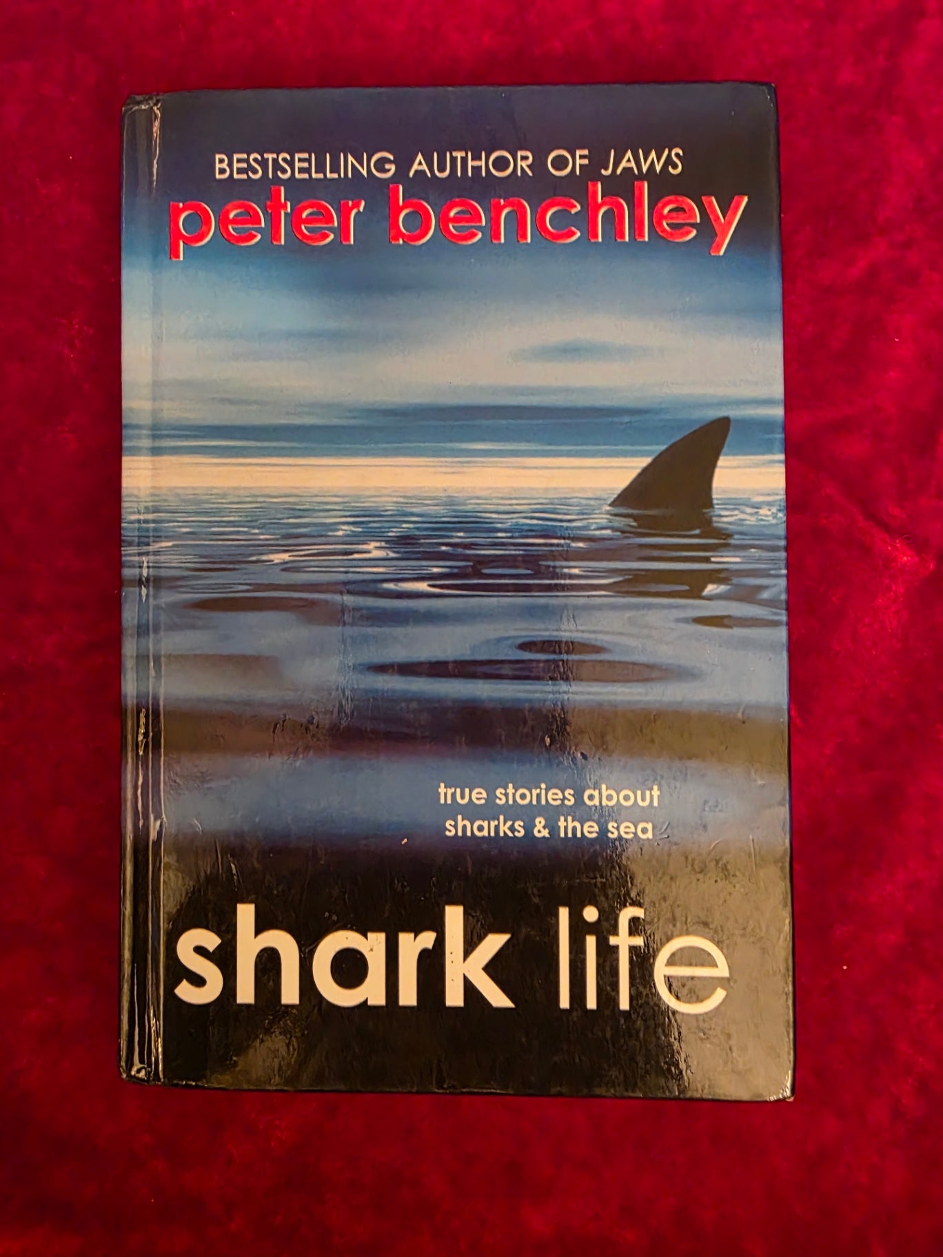 SHARK LIFE