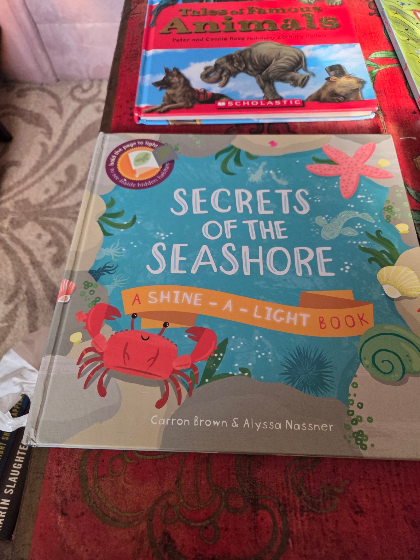 Secrets of the seashore